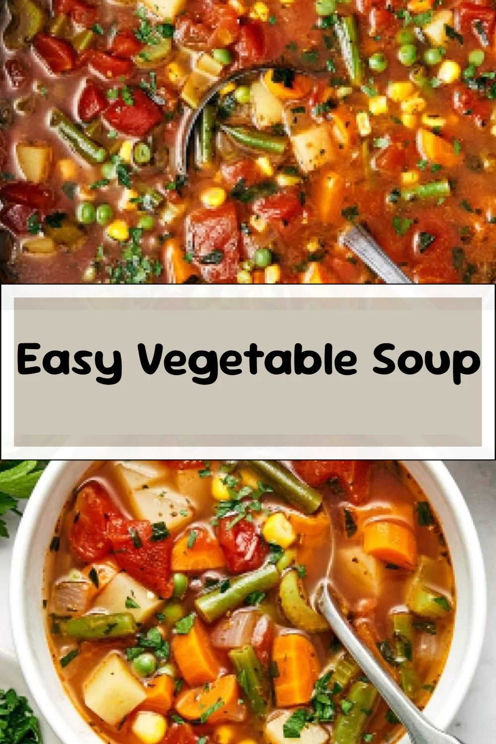 Easy Vegetable Soup