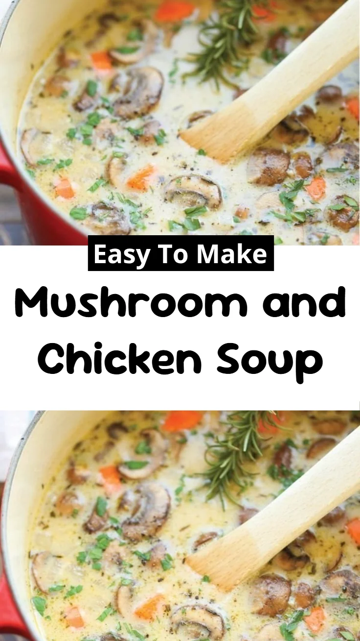 Mushroom and Chicken Soup