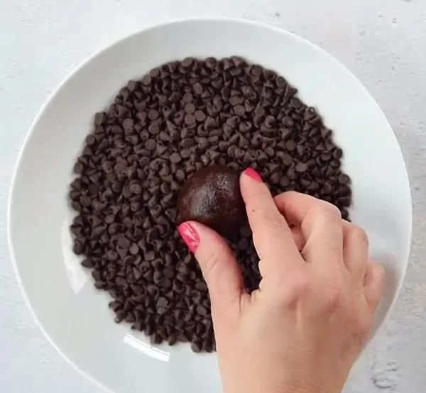 NO-BAKE BROWNIE PROTEIN BITES