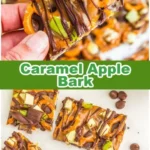 easy caramel apple bark 2026 08 06 191935 564x1024 1