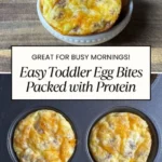 easy toddler egg bites packed with protein great 2026 08 07 195307 576x1024 1
