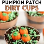 pumpkin patch dirt cups 2026 08 06 192022 512x1024 1