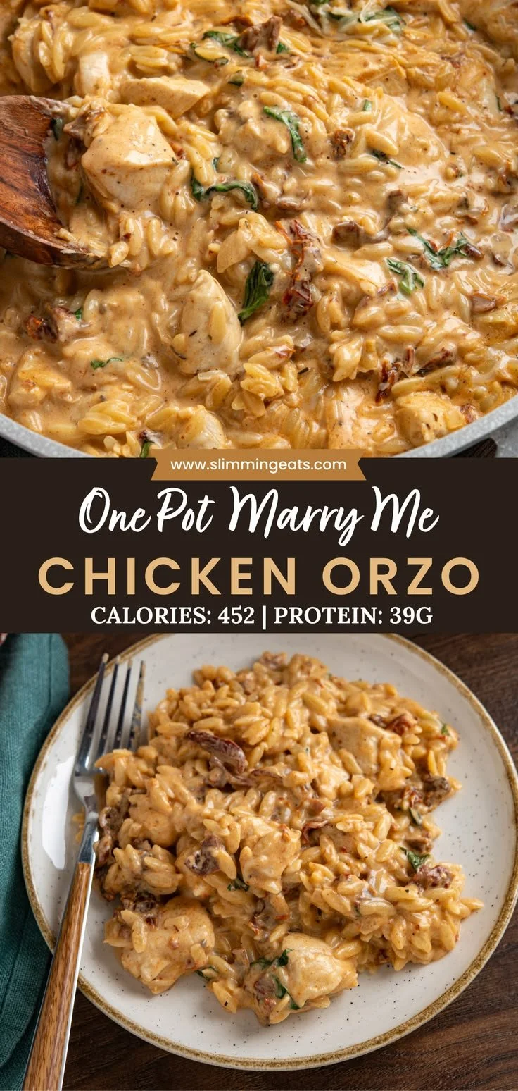 One-Pot Marry Me Chicken Orzo with chicken, creamy sauce, and sun-dried tomatoes.