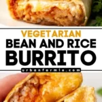 vegetarian bean and rice burrito vegetarian dinn 2026 08 07 195323 512x1024 1