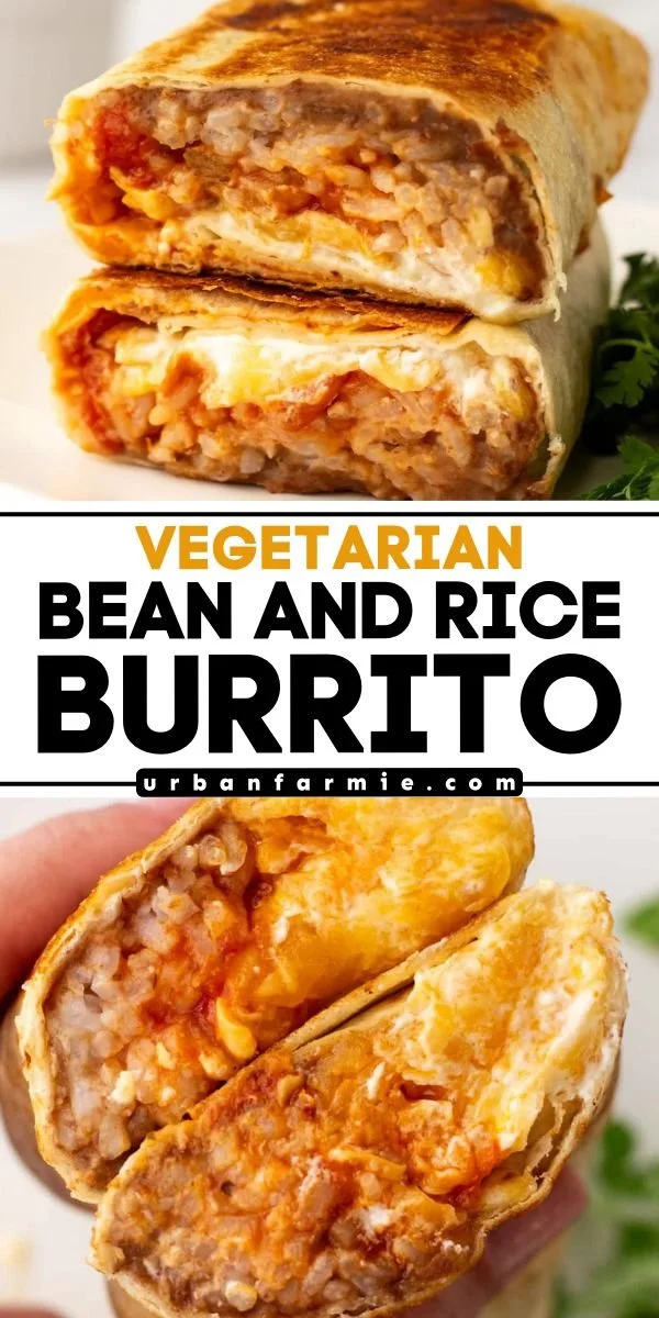 Delicious vegetarian bean and rice burrito ready to be served for dinner.